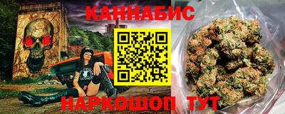 трава Гатчина