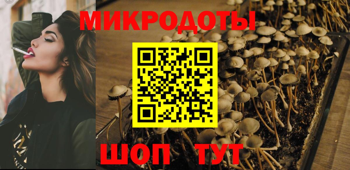 Назрань  Псилоцибиновые грибы Cubensis  Вход с VPN  магазин  наркотиков  Псилоцибиновые грибы Cubensis 
